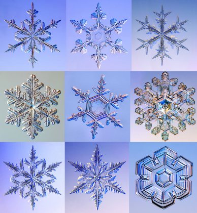 9-snowflakes-web